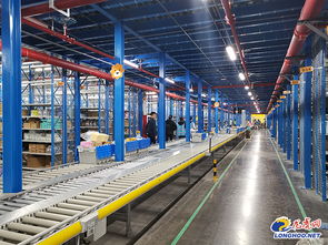 双十一火拼背后的智能引擎 仓储与客服革新，南京营商环境优化助力电商产业集聚