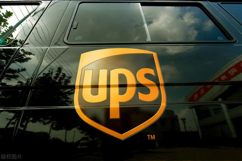 盘点全球名为“联合”的仓储服务公司 哪个国家数量最多？