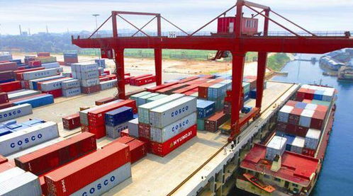 构建标准化的全球云仓网络 提升进出口仓储服务新范式