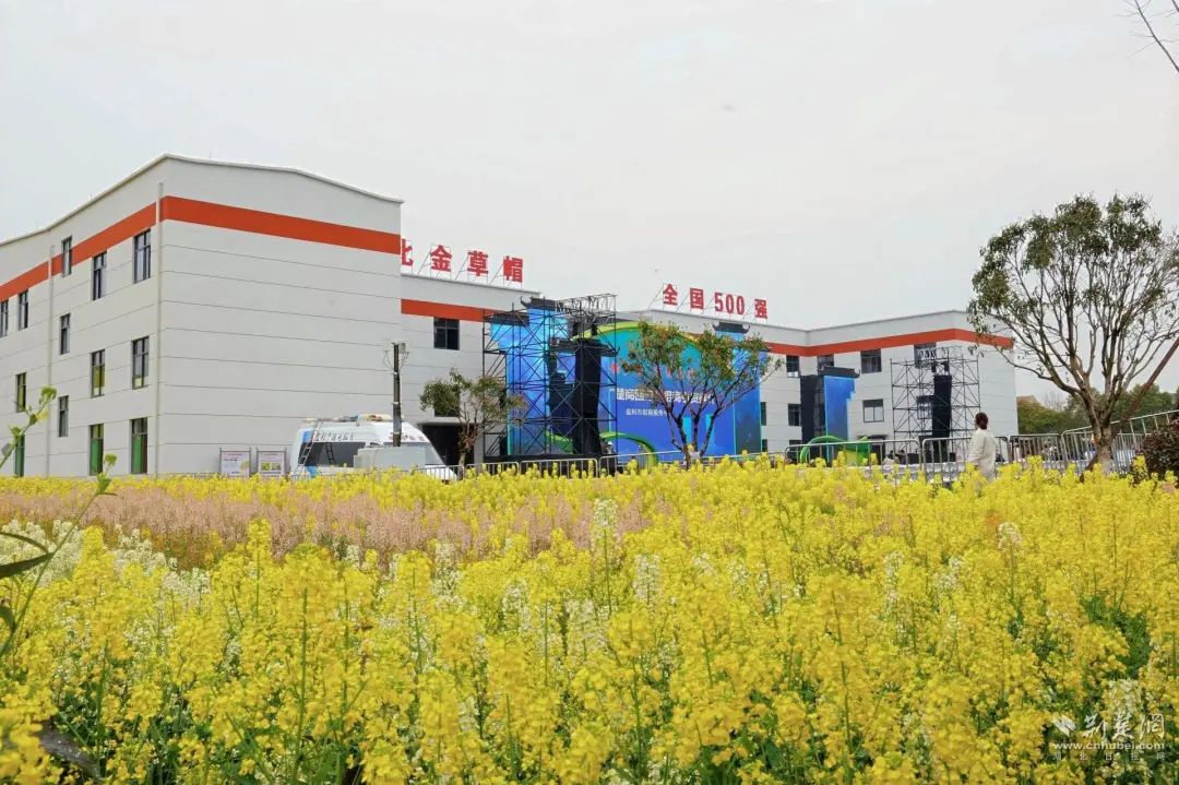从“草根”到“标杆” 一家合作社冲进全国十强的仓储突围之路